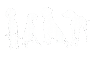 Bark and Stride Dogs White