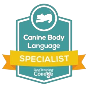 Canine Boy Language Specialist